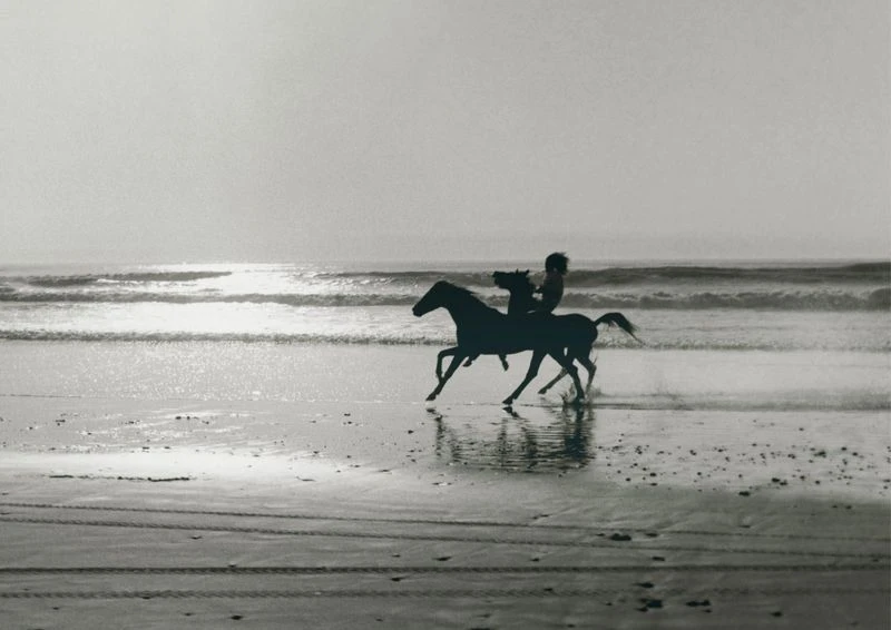Black and white shot of person riding a horse on the beach with ocean waves in the background. Equestrian scene on the sand.