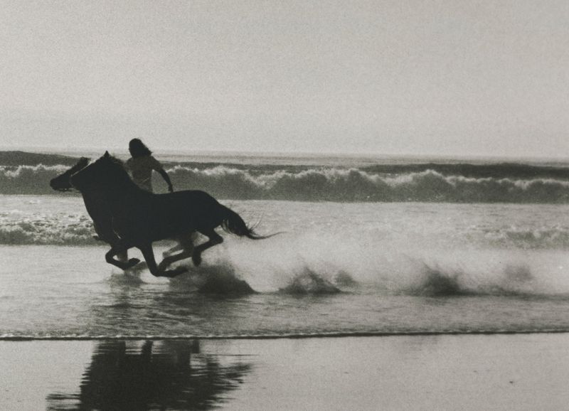 A dark horse gallops in the water along a beach, alongside a human figure, with waves crashing in the background in black and white.
