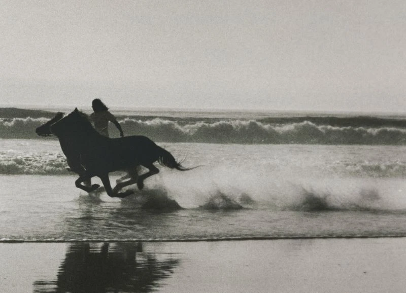 A dark horse gallops in the water along a beach, alongside a human figure, with waves crashing in the background in black and white.