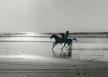 Silhouette of a rider on a horse galloping along a wet sandy beach at sunset with ocean waves