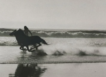 Black and white photograph of horses galloping through shallow ocean surf kicking up water on a sandy beach.