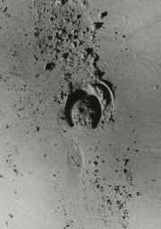 Overhead close-up of a circular depression and scattered pebbles in textured sand in high-contrast monochrome.