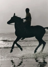 Black and white silhouette of a person riding a galloping horse along the wet sand and shallow surf of a beach.