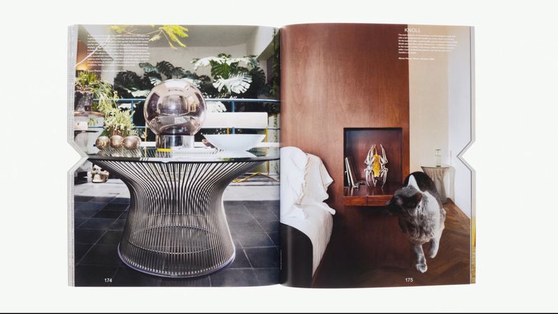 Interior design magazine spread featuring a wire-frame table, glass ornaments, plants, and a cat in a styled home setting.