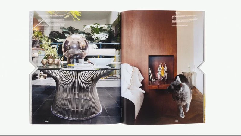 Interior design magazine spread featuring a wire-frame table, glass ornaments, plants, and a cat in a styled home setting.