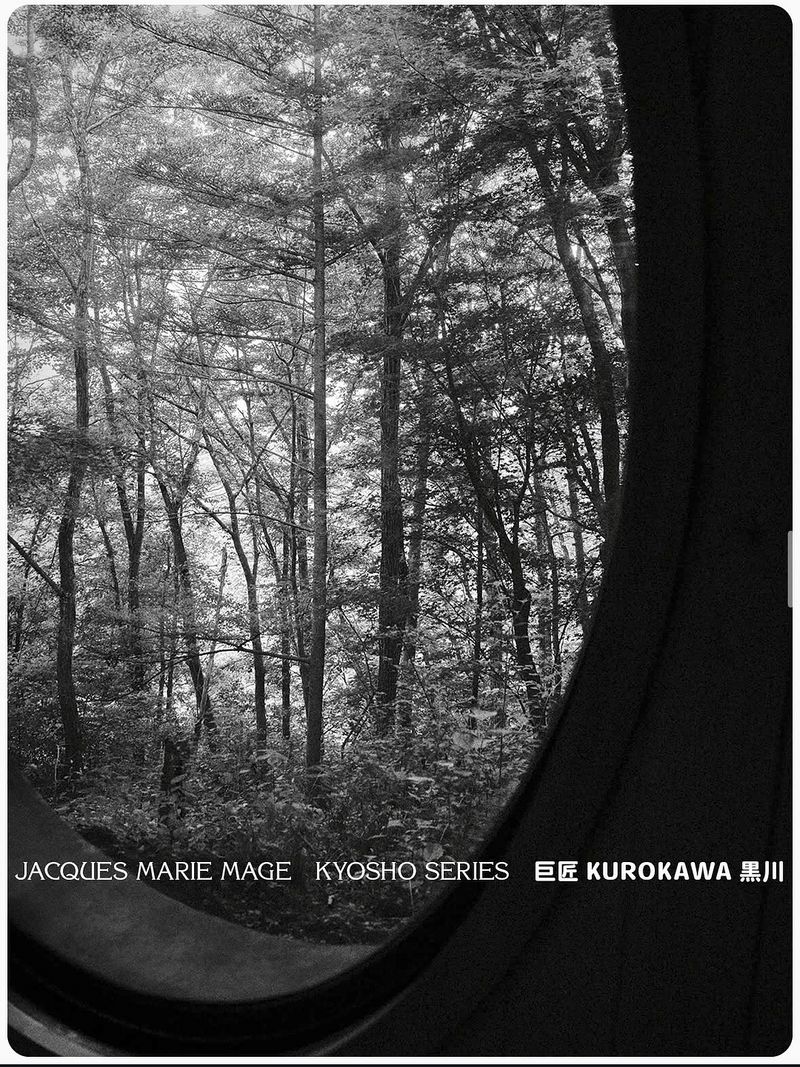 Black and white view looking out through a dark circular window frame into a dense forest of tall trees and leafy foliage.
