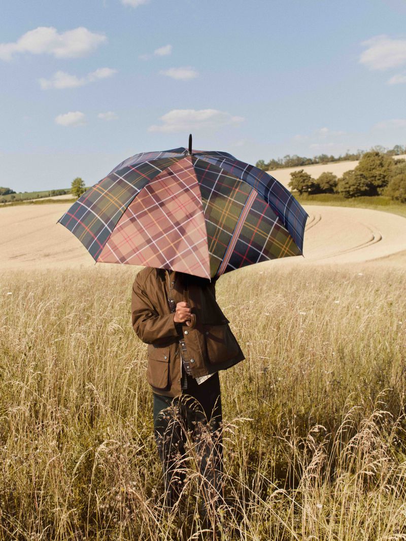 Person stands in a field of tall grasses with a plaid umbrella. Blue sky with scattered clouds overhead on a sunny day.