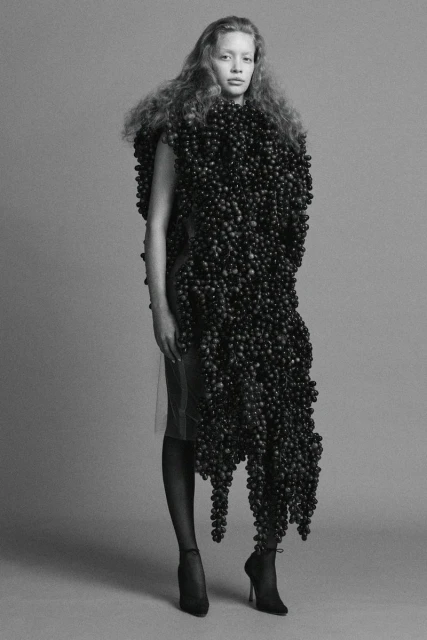 Ponte F/W 25 Lookbook