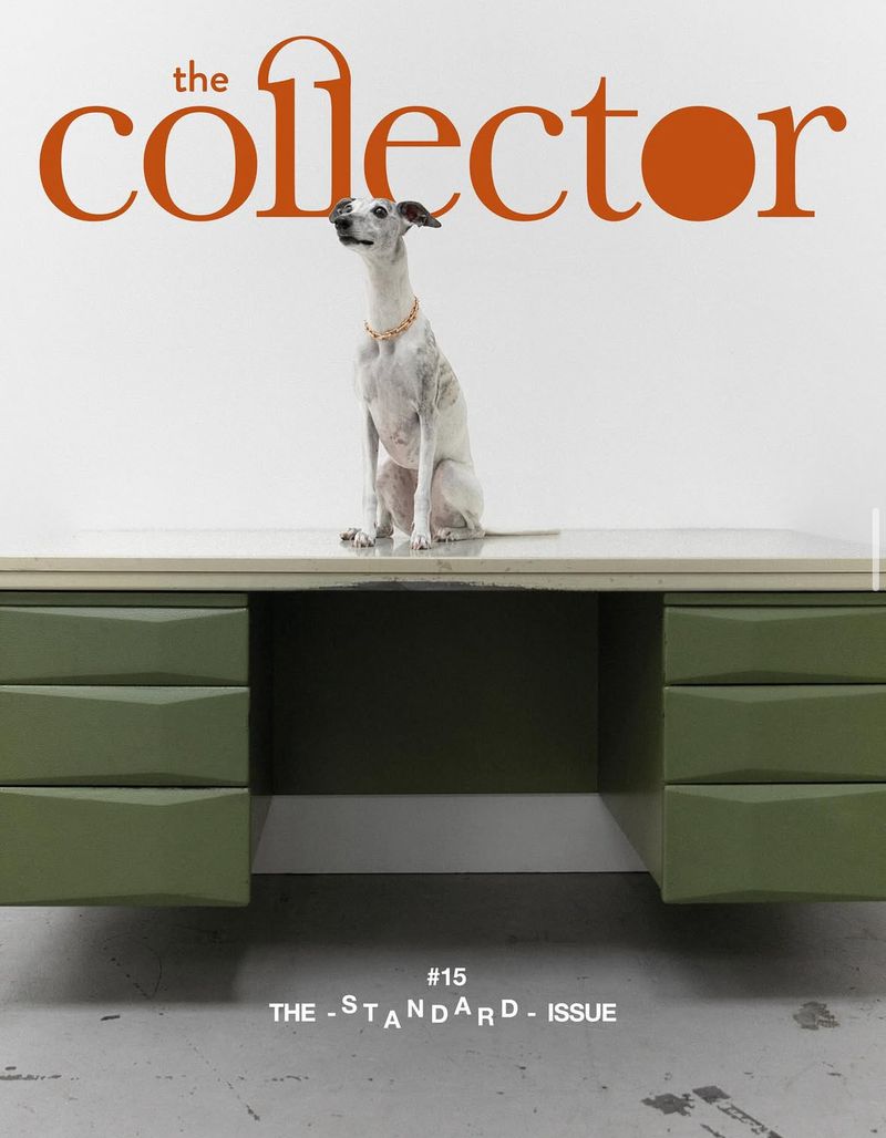 Magazine cover featuring a light-grey dog sitting on a green desk in front of an orange logo and white backdrop, in a studio shot.