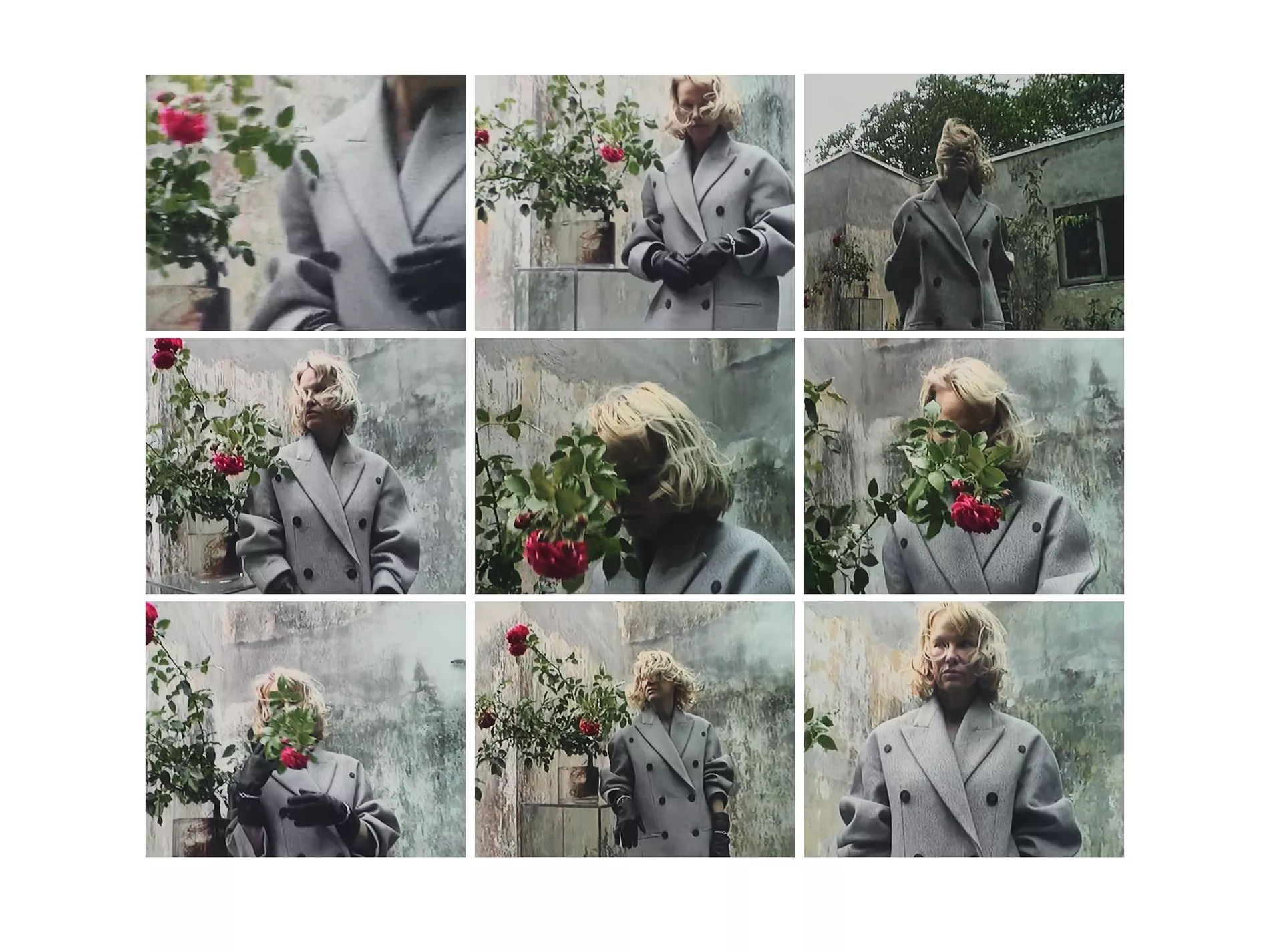 Woman in grey coat with roses. Fashion editorial shot shows blonde woman in double-breasted coat with rose bushes against distressed wall.