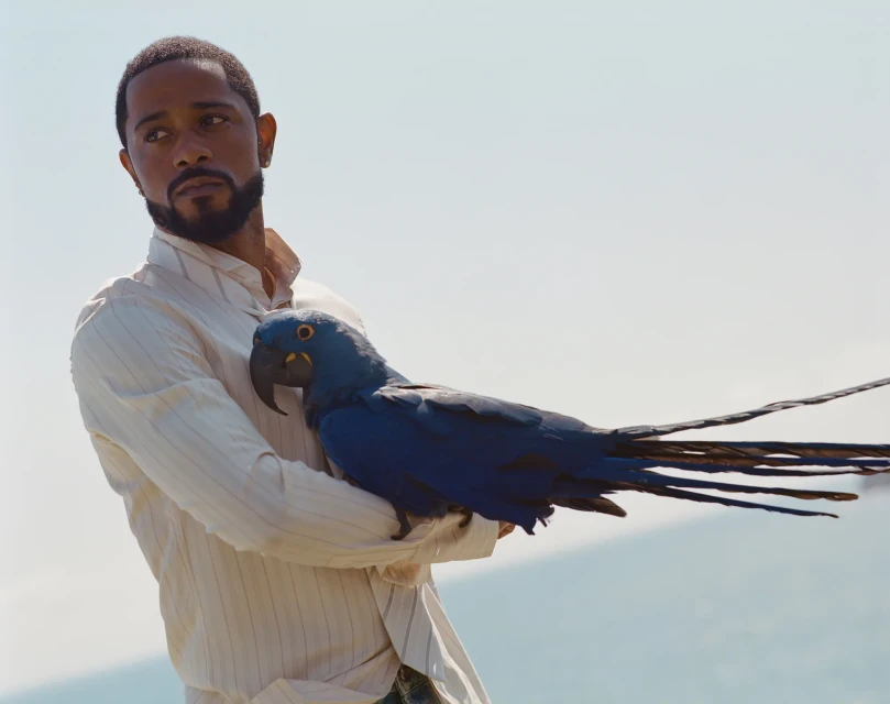 Adult man holds a hyacinth macaw outdoors. He's wearing a white button-down shirt and looking off to the left. Sky is visible.