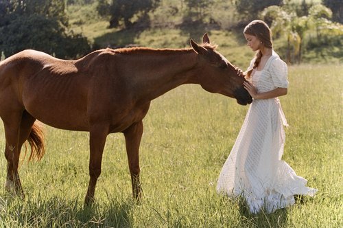 A woman in a white dress stands in a grassy field, gently touching noses with a chestnut horse on a sunny day.
