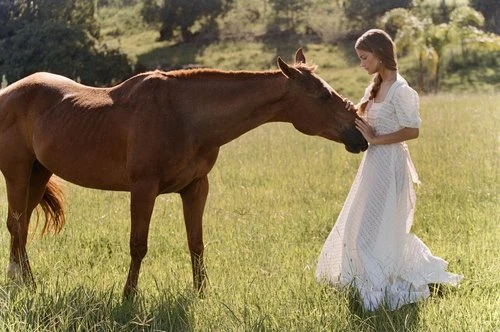 A woman in a white dress stands in a grassy field, gently touching noses with a chestnut horse on a sunny day.