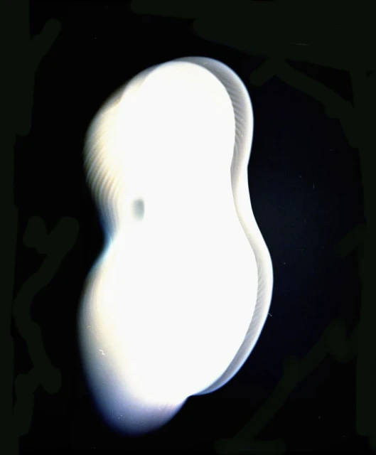 FEAR OF GOD Athletics x Derrick Rose II