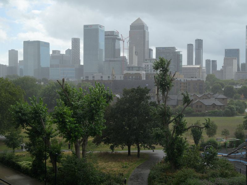 Urban cityscape view on a rainy day featuring tall buildings and lush green trees in the foreground, creating a contrast between nature and architecture.