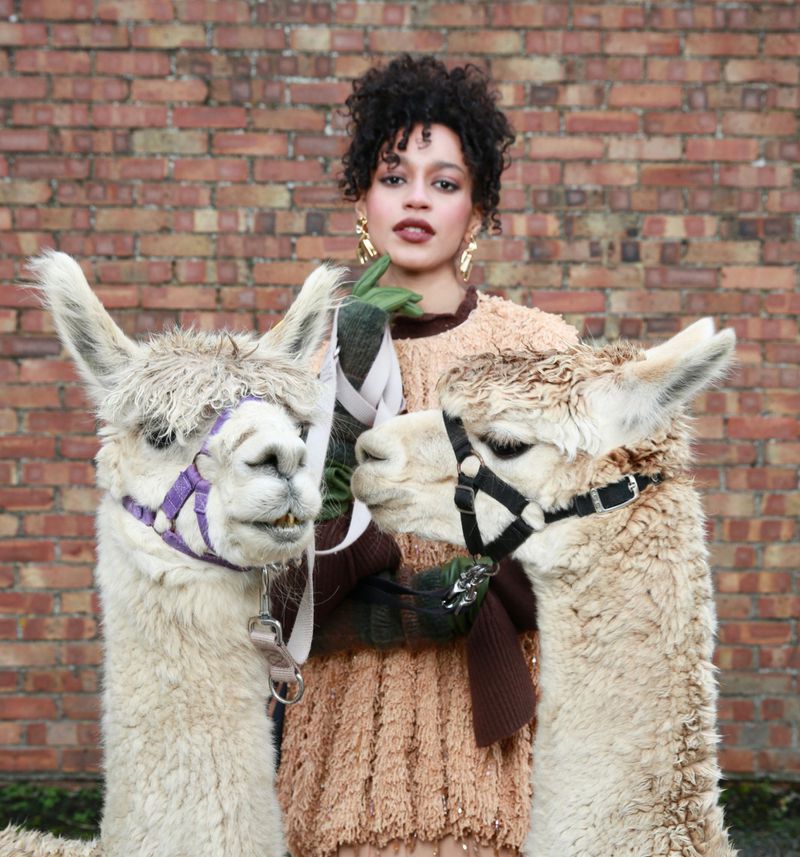 Portrait of a woman posing with two alpacas in front of a brick wall wearing earth-toned clothing and bold gold earrings.