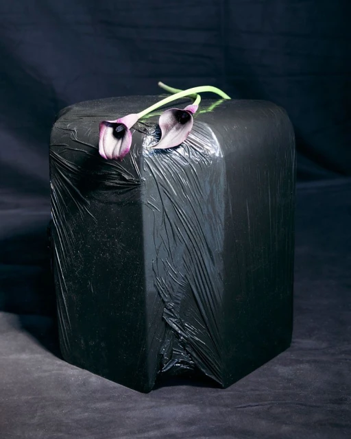 Still life featuring two calla lily flowers on top of a black, cube-shaped object wrapped in clear plastic in front of dark background.