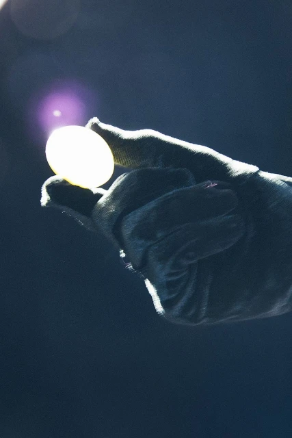 A gloved hand holds a luminous, glowing ball against a dark backdrop, creating a striking contrast and focus on the object.
