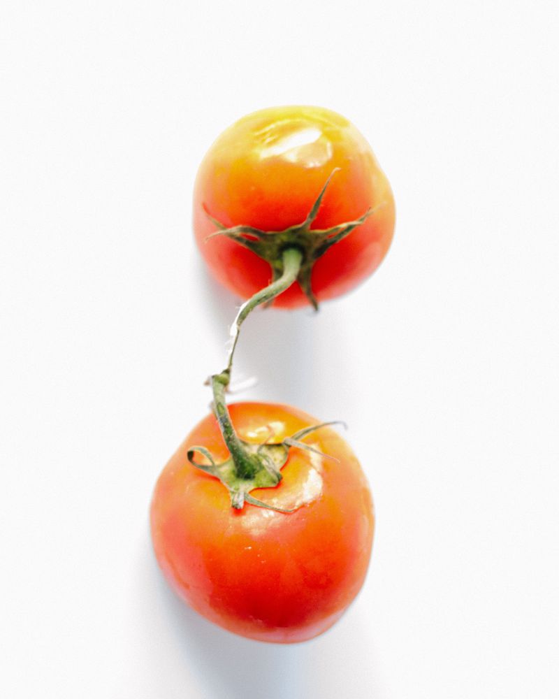 Two red and yellow heirloom tomatoes on a white surface, photographed in bright, even lighting, showcasing freshness and natural beauty.
