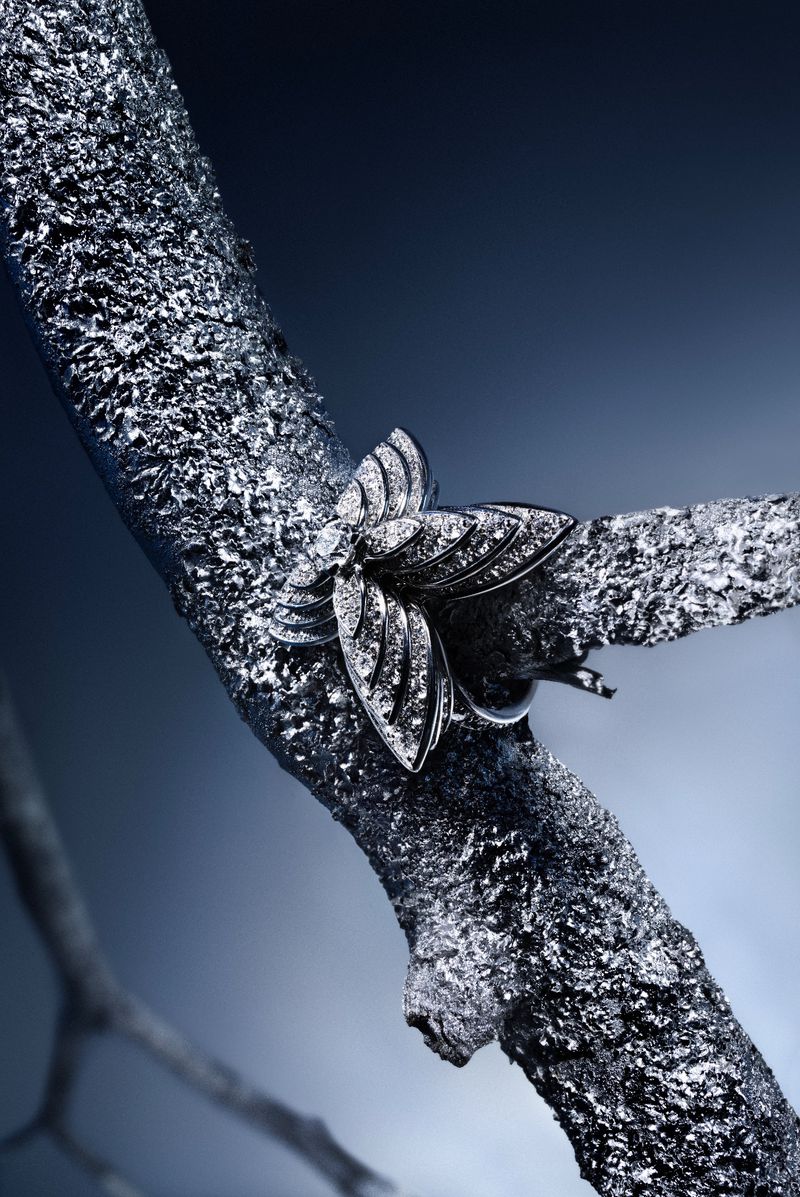 Diamond butterfly-shaped brooch mounted on a silver textured tree branch against a dark blue gradient backdrop.