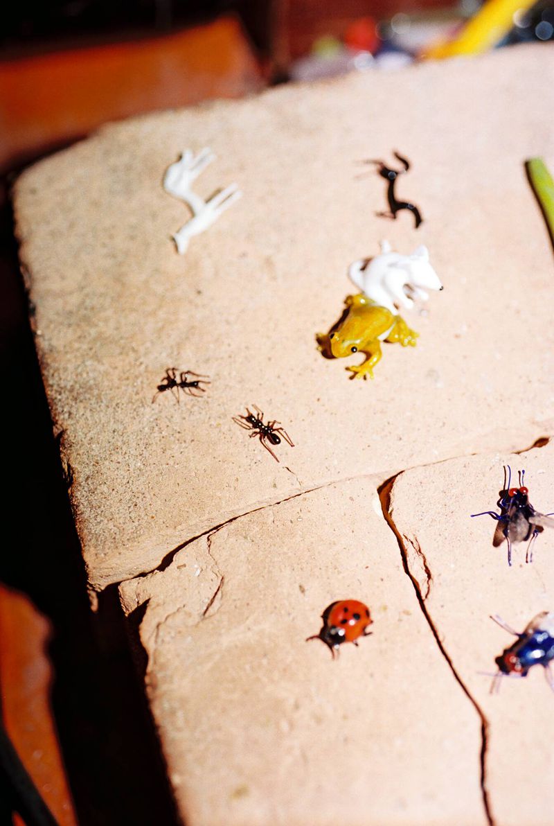 Close-up of toy insects including ants, flies, ladybug, frog on a sandy surface with studio lighting showcasing their intricate details.