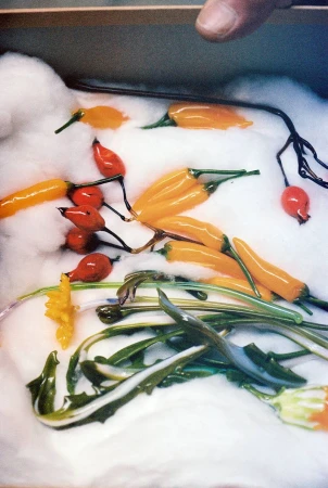 Glass artwork displaying an assortment of peppers and stems on a white, fluffy surface, captured in a studio-like setting with natural lighting.