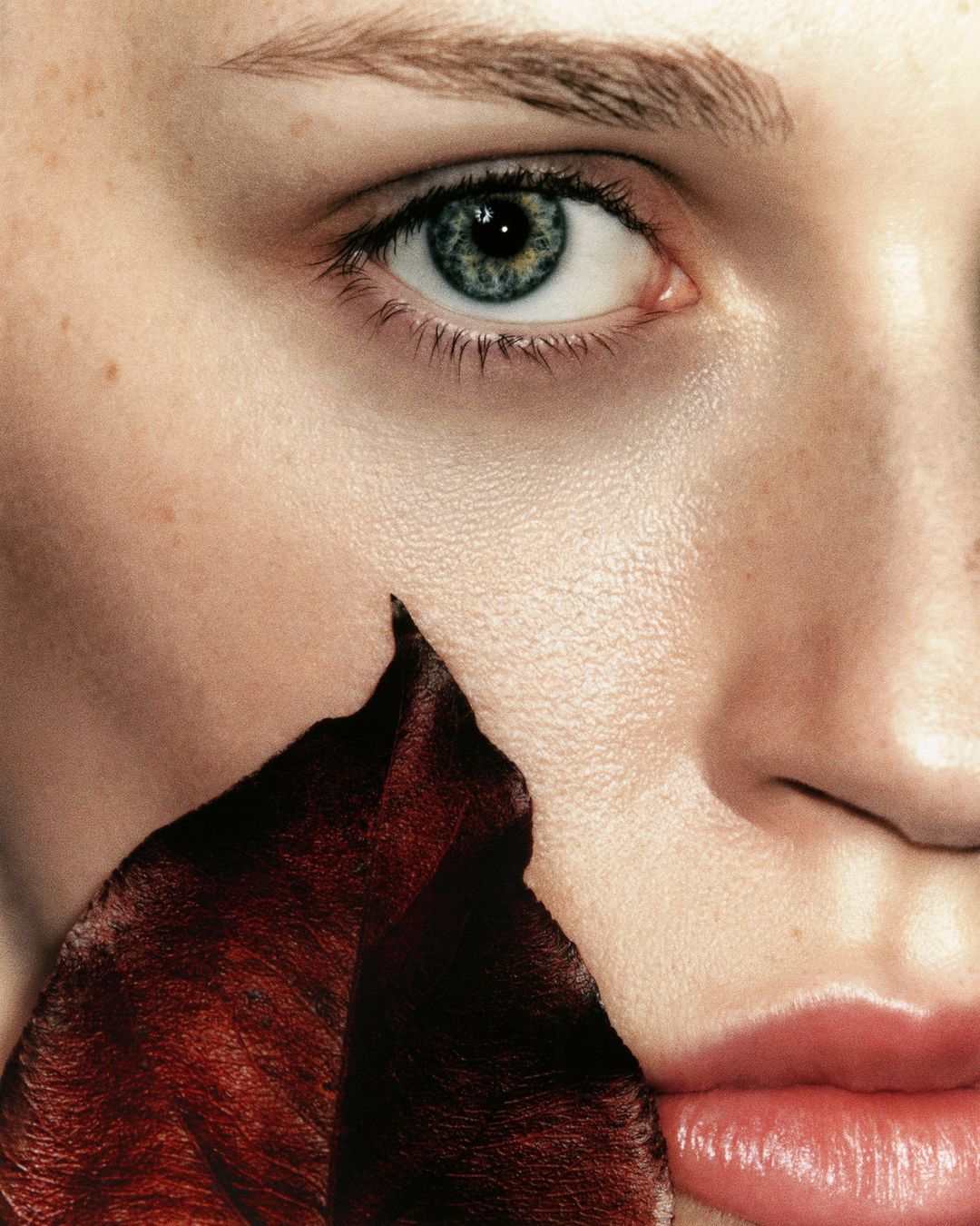 Close-up of a woman's face with clear blue eye, fair skin, and a dark red leaf partially covering the cheek and mouth.