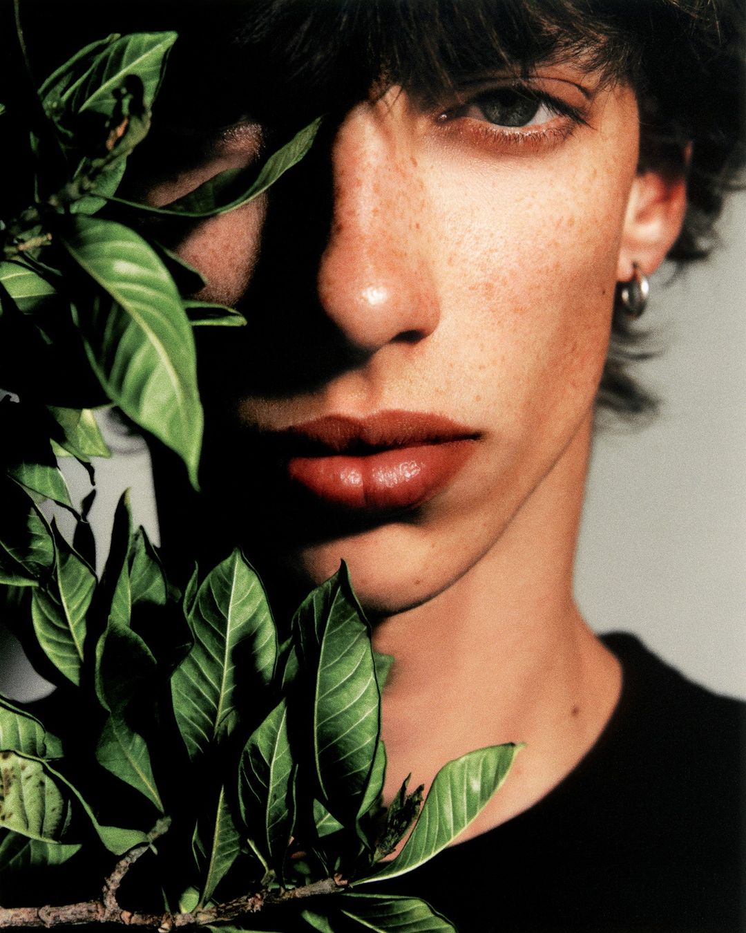 Portrait of a young adult male with freckles and dark hair, posing indoors with green leaves partially covering his face.