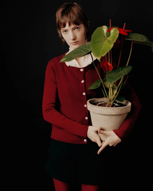 A Short story about plants