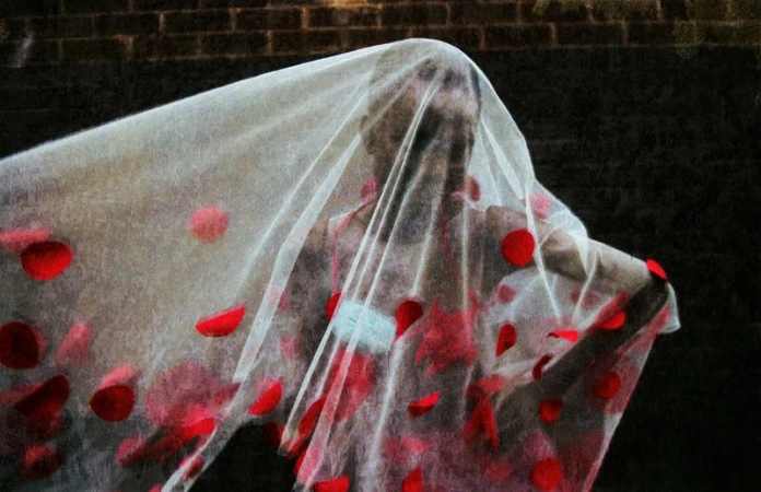 Abstract portrait of a person veiled in sheer fabric adorned with red rose petals against a dark brick wall backdrop.