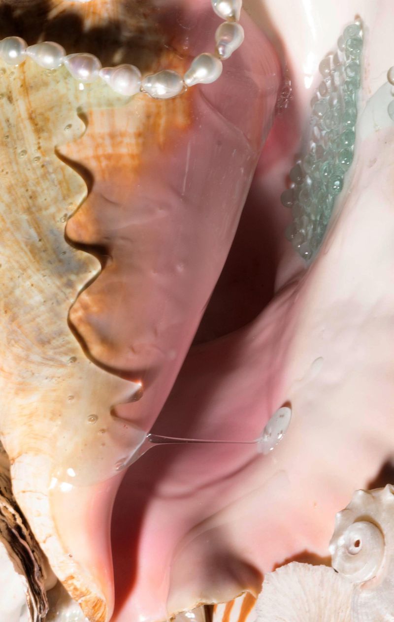 Close-up of a textured queen conch shell featuring a strand of pearls, iridescent bubbles, and intricate details of the shell's opening.