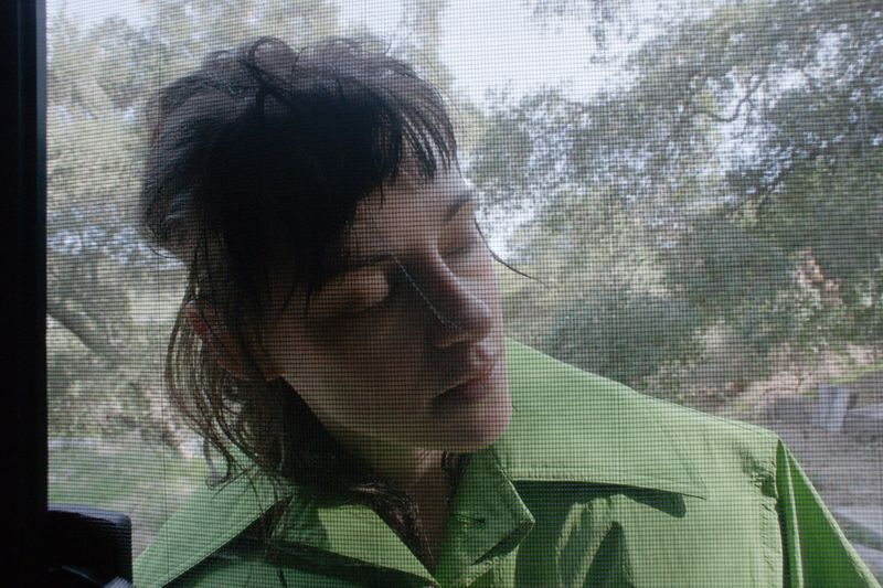 Indoor portrait of a person with dark hair in green collared shirt, gazing off with a blurred tree-filled landscape seen through a screen.