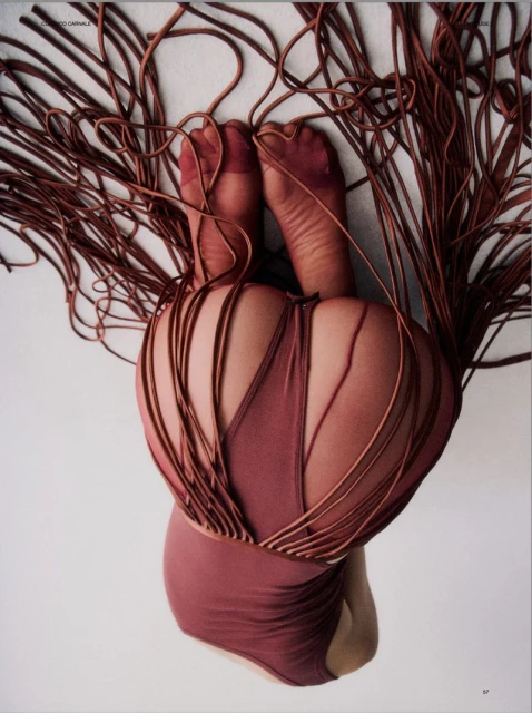 Back and feet of a person in a maroon swimsuit and matching hosiery. Many strands of maroon fabric cover the body in a studio shot.