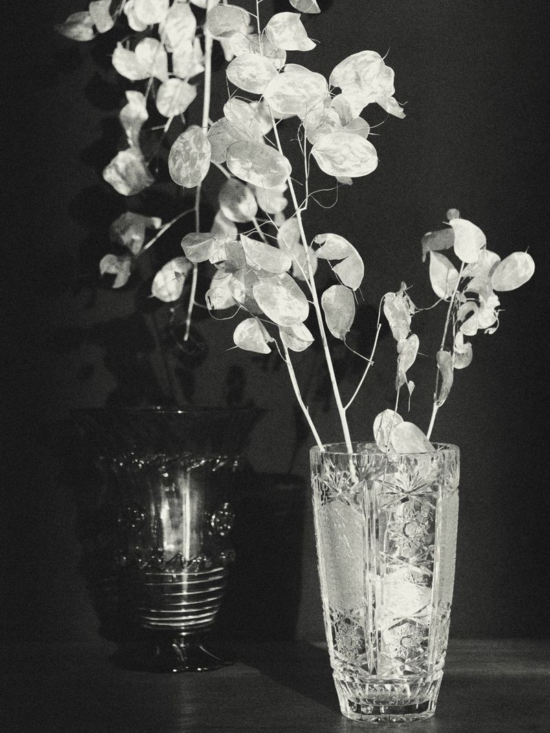 Monochrome still life photograph of lunaria plants in crystal and dark glass vases against a dark backdrop, highlighting texture and form.