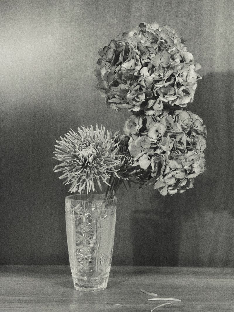 Monochrome still life photograph of hydrangea and aster flowers in a crystal vase on a table against a textured backdrop.