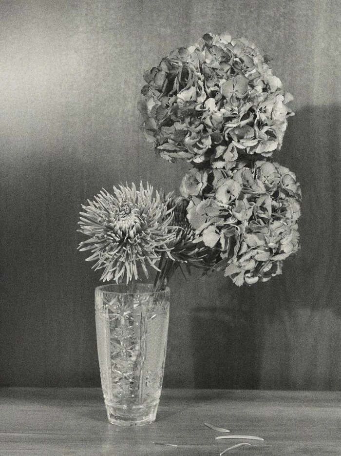 Monochrome still life of dried hydrangeas and a spiky flower in an ornate cut crystal glass vase on a tabletop.