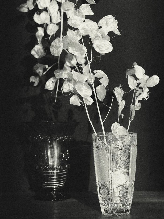 Black and white still life of dried honesty seed pods arranged in an ornate cut crystal vase against a dark background.