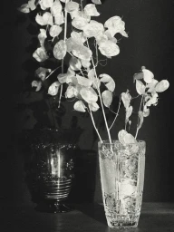 Black and white still life of dried honesty seed pods arranged in an ornate cut crystal vase against a dark background.