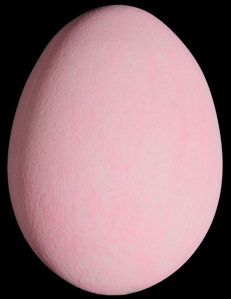 Close-up studio shot of a solid pink egg against a black background, showcasing texture and smooth gradients.