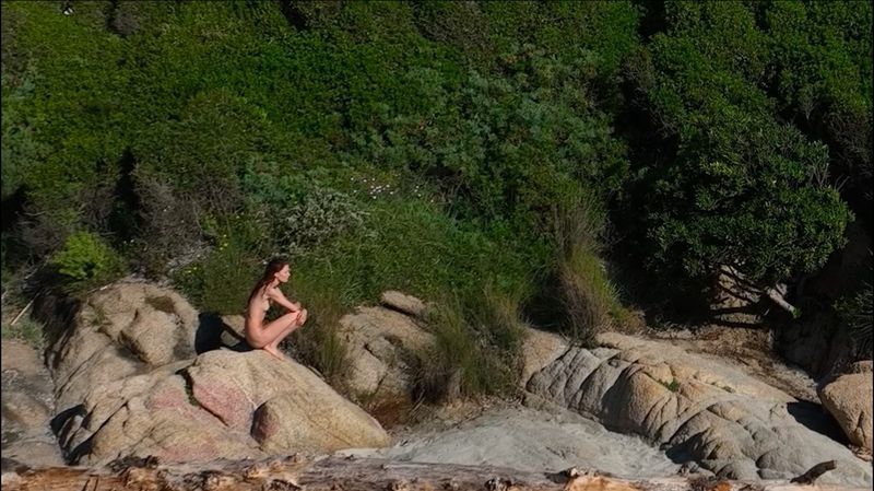 Adult female sits in profile on rocky coast with forest background, enjoying the natural light and serene outdoor environment.