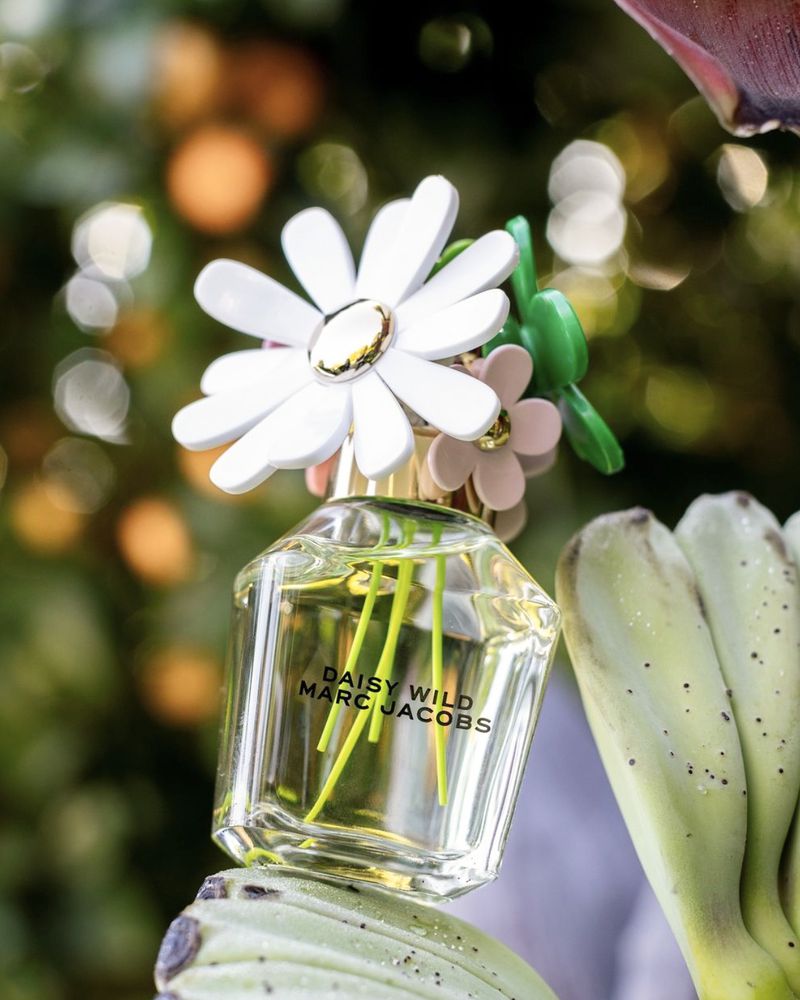 Close-up of a glass bottle of Daisy Wild Marc Jacobs perfume topped with white and pink daisies, set outdoors.