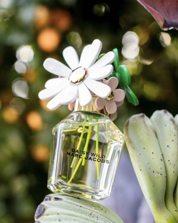 Close-up of a glass bottle of Daisy Wild Marc Jacobs perfume topped with white and pink daisies, set outdoors.