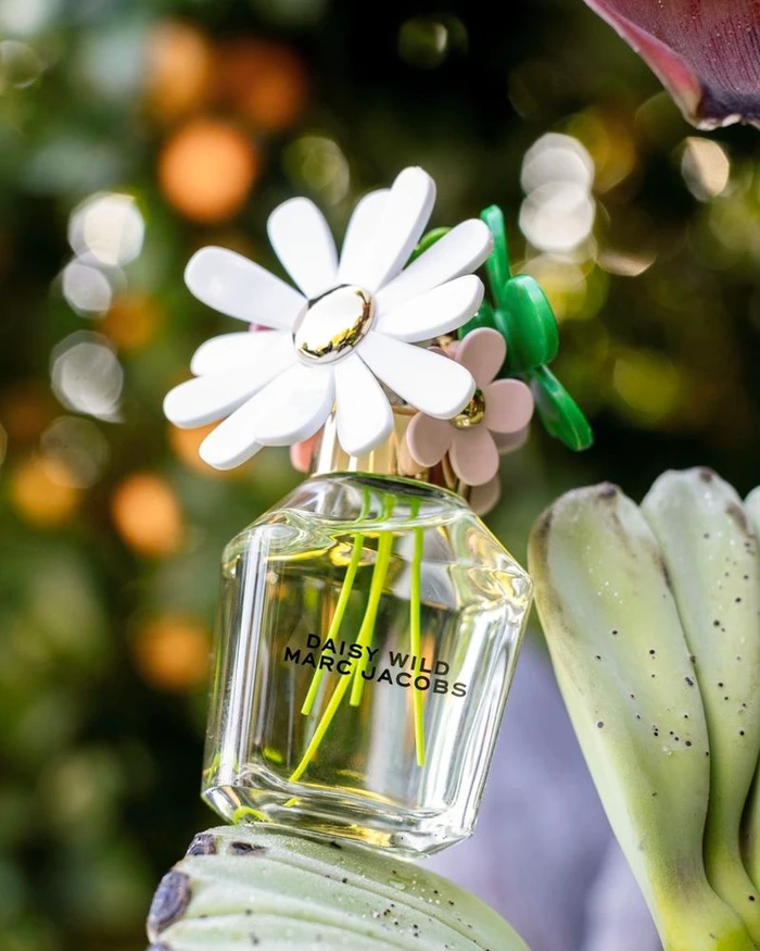 Marc Jacobs Daisy Wild perfume bottle with white flower cap resting among lush green foliage and warm bokeh lights.