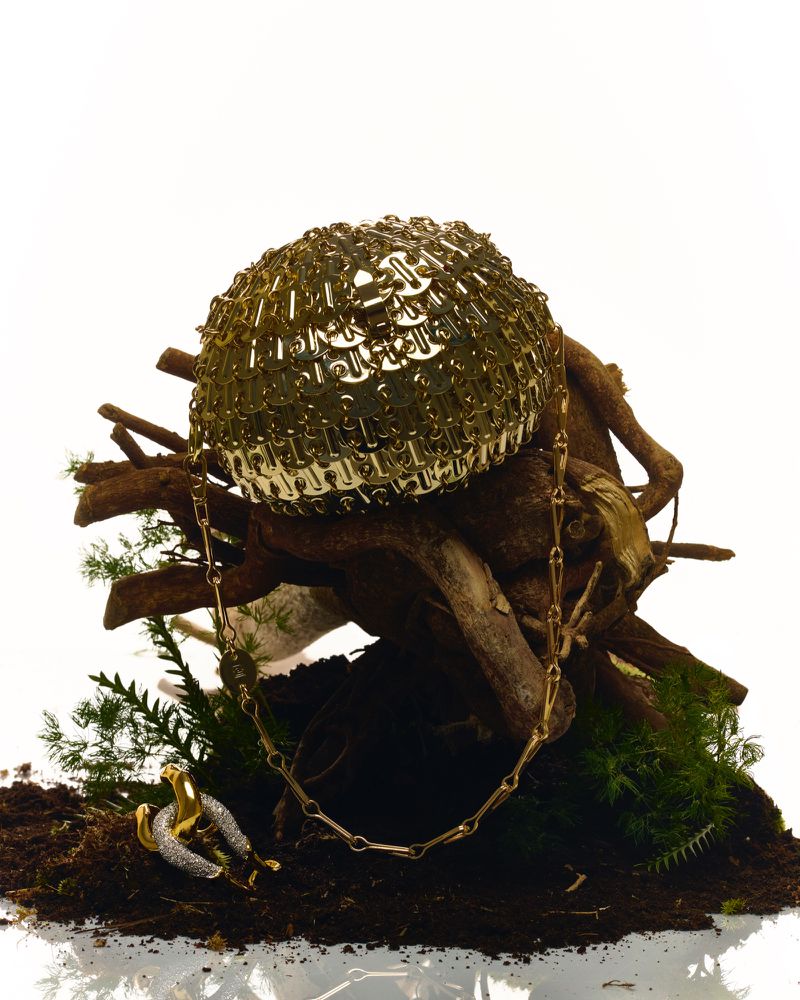 Golden chainmail clutch bag and necklace displayed on soil and moss with tree branches in a bright studio setup. 