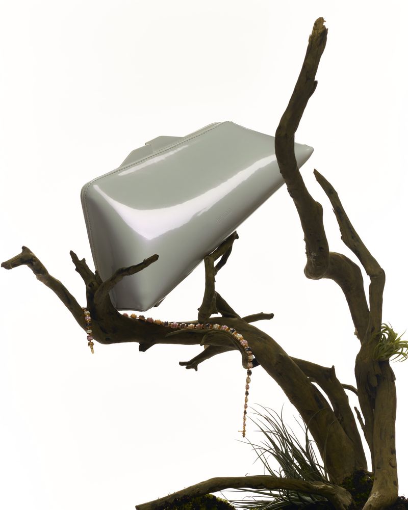Elegant clutch purse perched on a branch with beads, showcasing a fashion accessory in a natural setting against a white backdrop.