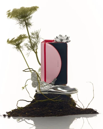 Still life product shot on white background features a pink and black wallet, silver shoe, gift bow, and Queen Anne's lace flowers.