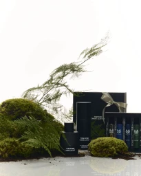 Tom Ford Ombré Leather gift set and perfume bottles displayed among lush green moss and fern sprigs on white background