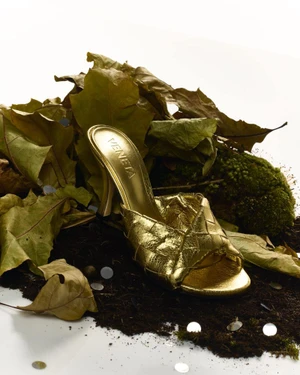 Metallic gold high-heeled mule shoe resting on dark soil amidst fallen autumn leaves and green moss against a bright white background.