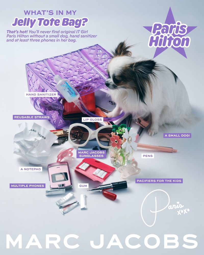 Chihuahua poses next to purple jelly purse filled with hand sanitizer, lip gloss, sunglasses, notepad, phone, and pacifiers on white.