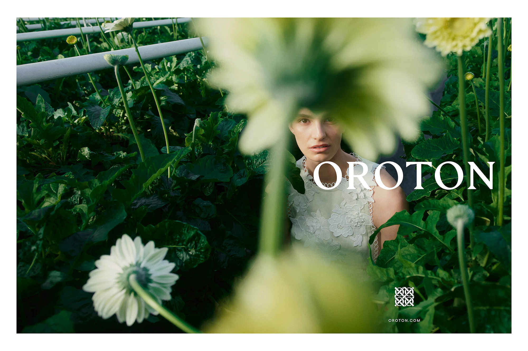 A woman in a white floral dress stands in a lush field of green plants and white gerbera daisies, captured in a natural, outdoor setting.